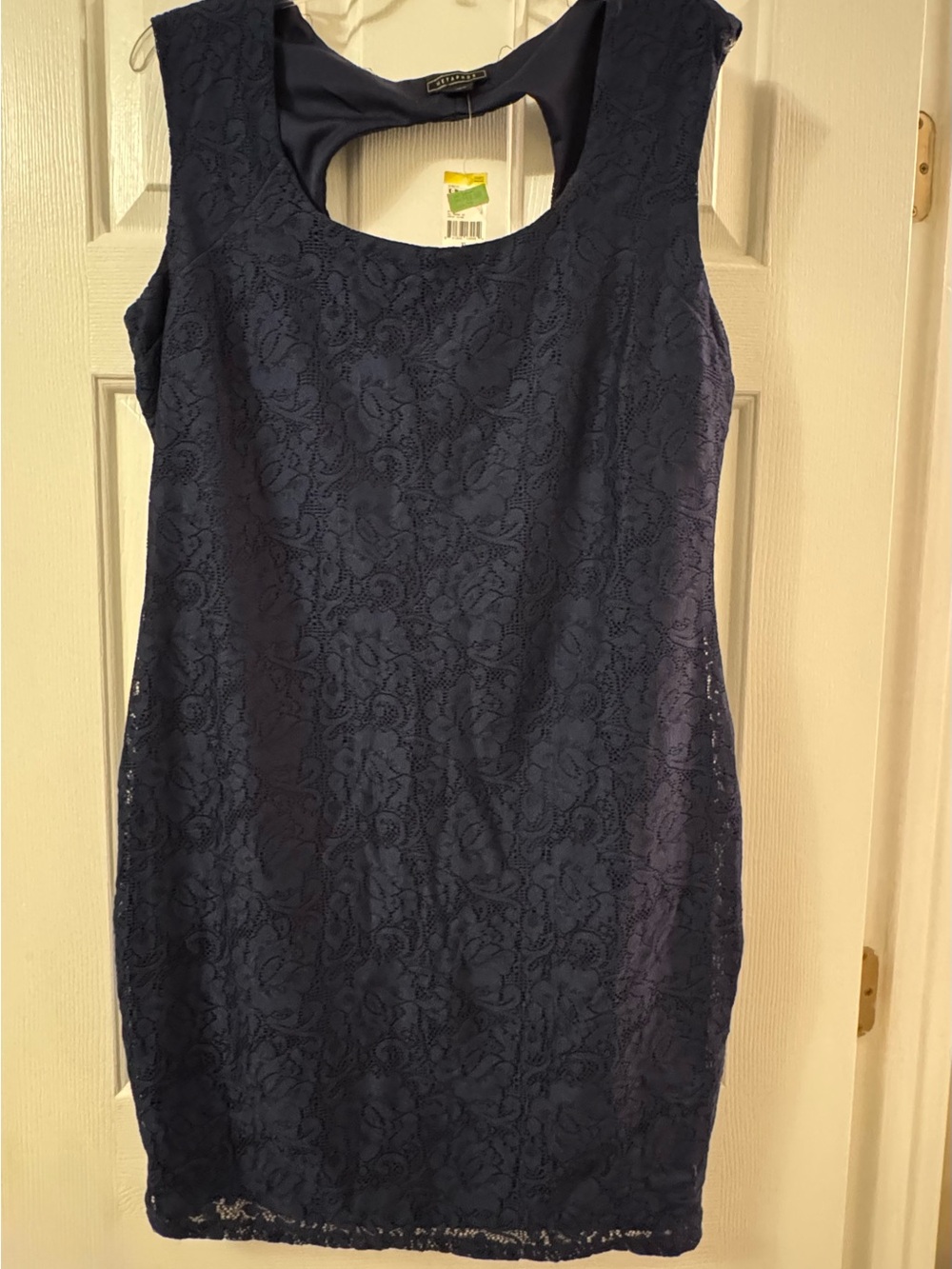 Metaphor Floral Lace Mini Dress Black XL NWT